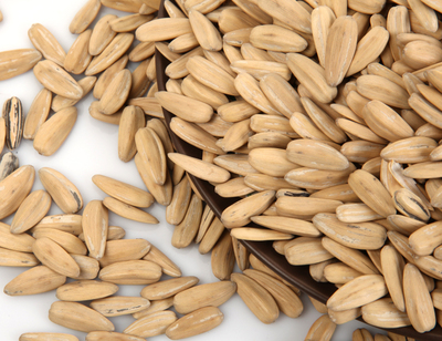 一起找回童年的記憶!看中超聯(lián)賽時怎能少了它